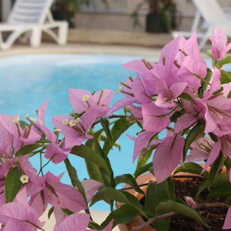 Residence Le Lotus Grand-Baie Eksteriør billede